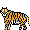 Tiger5.png