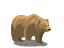 bear.png