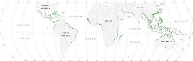1920px-World_map_mangrove_distribution.jpg