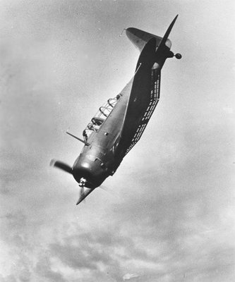 A-24_diving.jpg