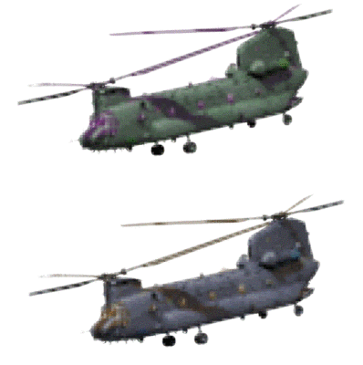 Chinooks.GIF