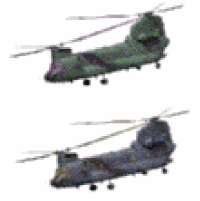 Chinooks more pixel.gif